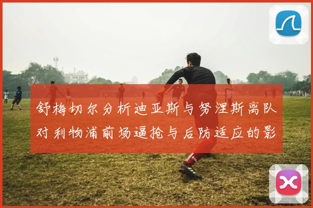 舒梅切尔分析迪亚斯与努涅斯离队对利物浦前场逼抢与后防适应的影响