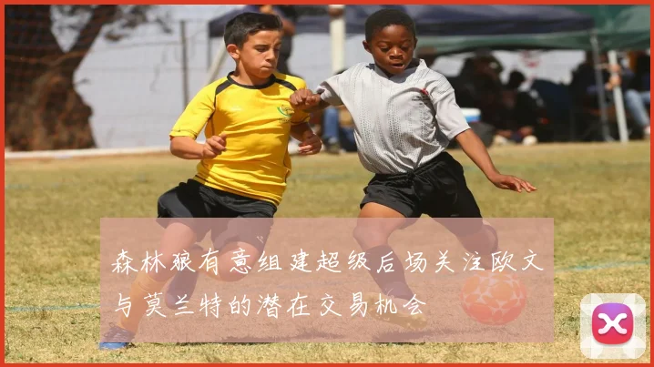 森林狼有意组建超级后场关注欧文与莫兰特的潜在交易机会